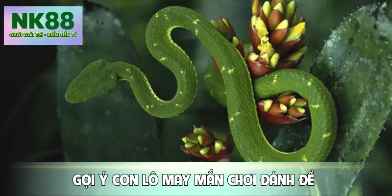 mo-thay-ran-con-so-may-man